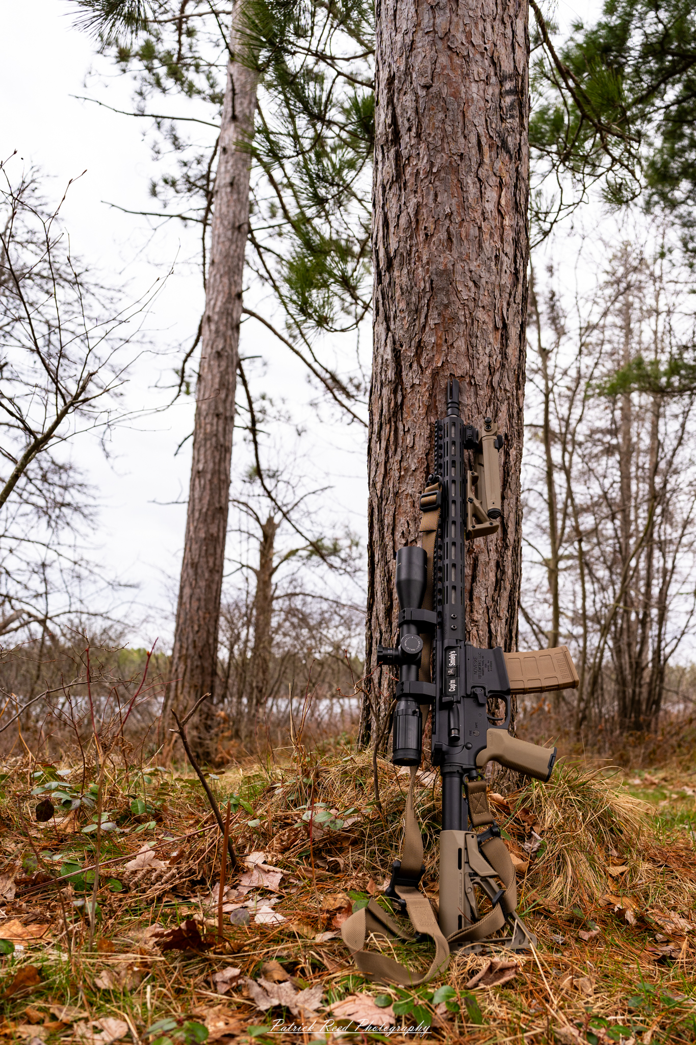 "An AR-15 rifle leaning against a tree, nestled in a natural outdoor setting. The rifle's sleek design and modern features contrast with the rugged bark of the tree, creating a scene that evokes a sense of preparedness and connection to nature, perfect for a day of shooting or hunting."
