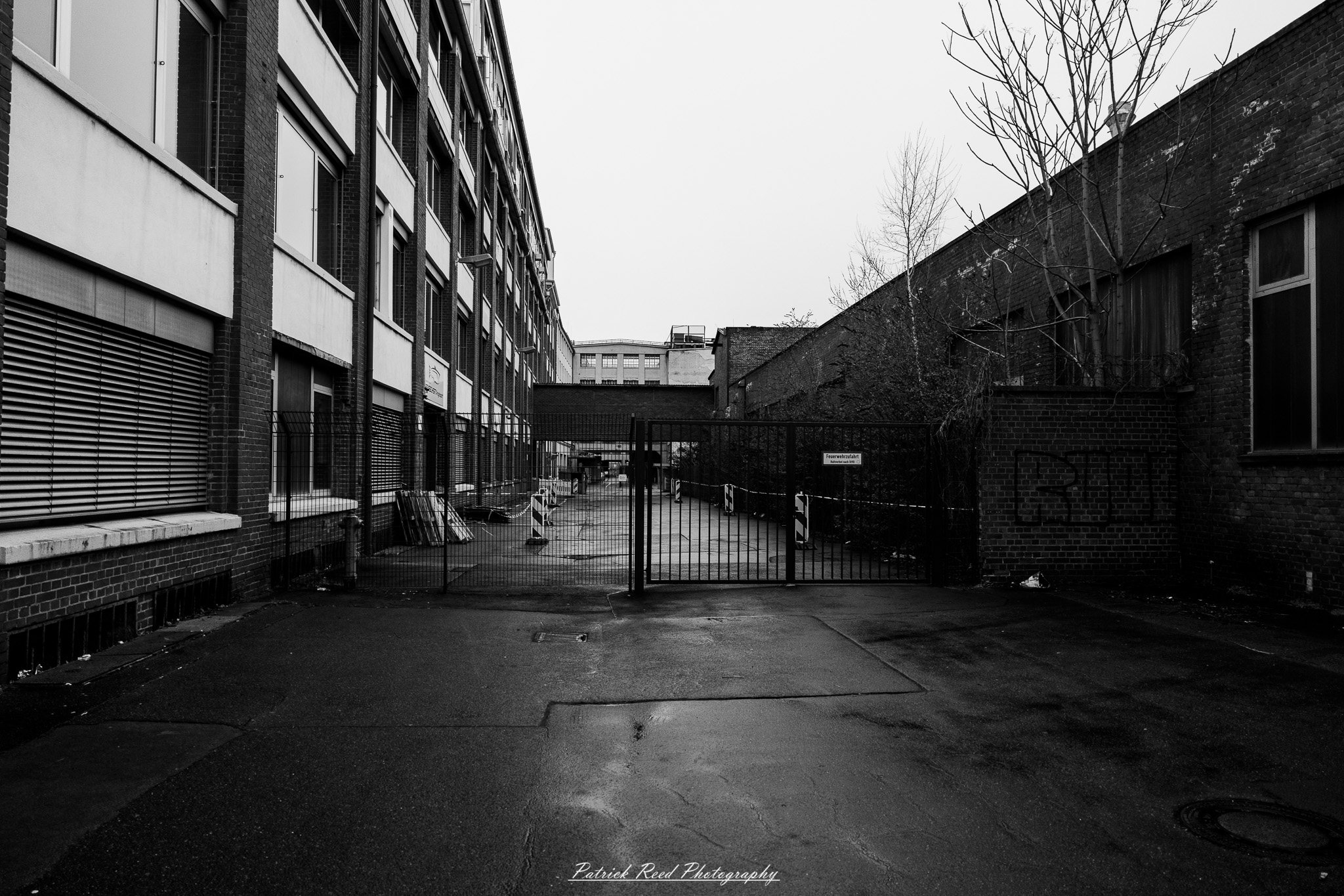 Russelsheim 6 A series of noir-style street photography scenes set in Rüsselsheim, Germany, at night. The dimly lit streets feature wet cobblestones reflecting the glow of streetlights and neon signs. Shadows and silhouettes of people, some walking or riding bicycles, add a mysterious atmosphere. Industrial architecture, such as factory buildings and modern urban structures, contrasts with old-world charm. Elements like parked cars, lampposts, and occasional graffiti create a gritty, cinematic ambiance. The misty air and moody lighting emphasize the noir aesthetic, evoking a sense of intrigue and storytelling.