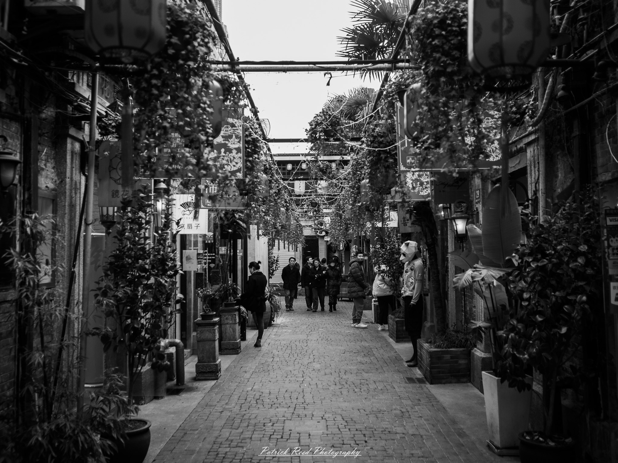 OLYMPUS DIGITAL CAMERA Street Photography Image