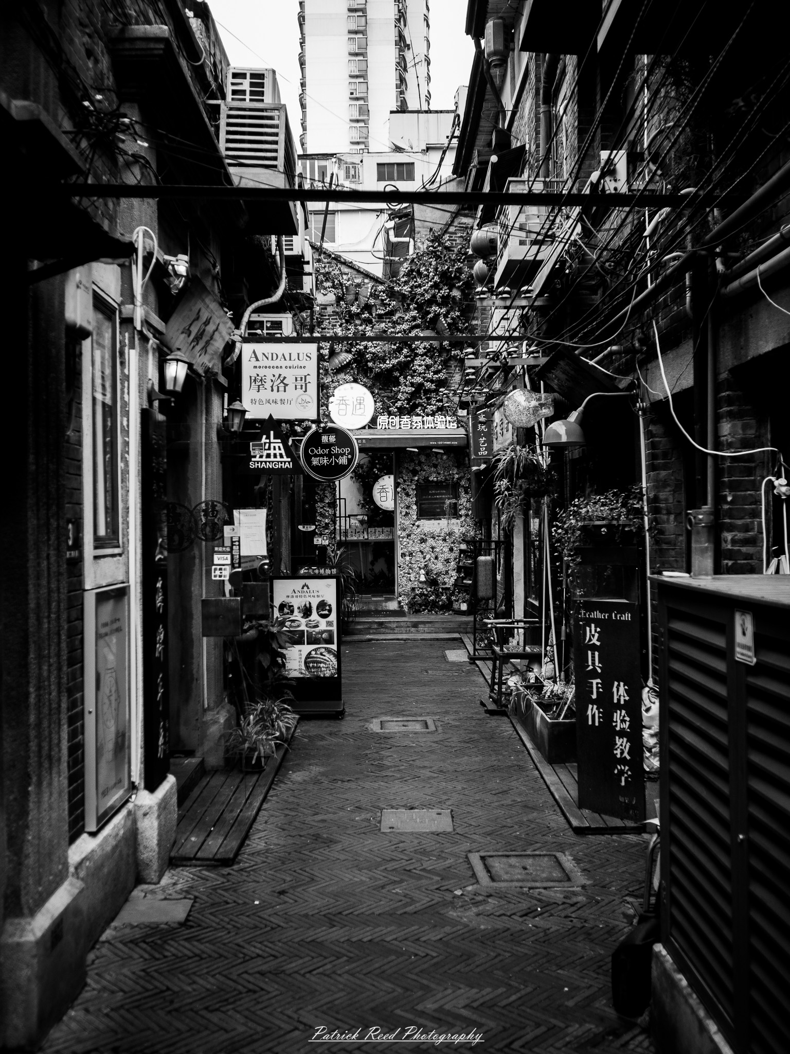 OLYMPUS DIGITAL CAMERA Street Photography Image