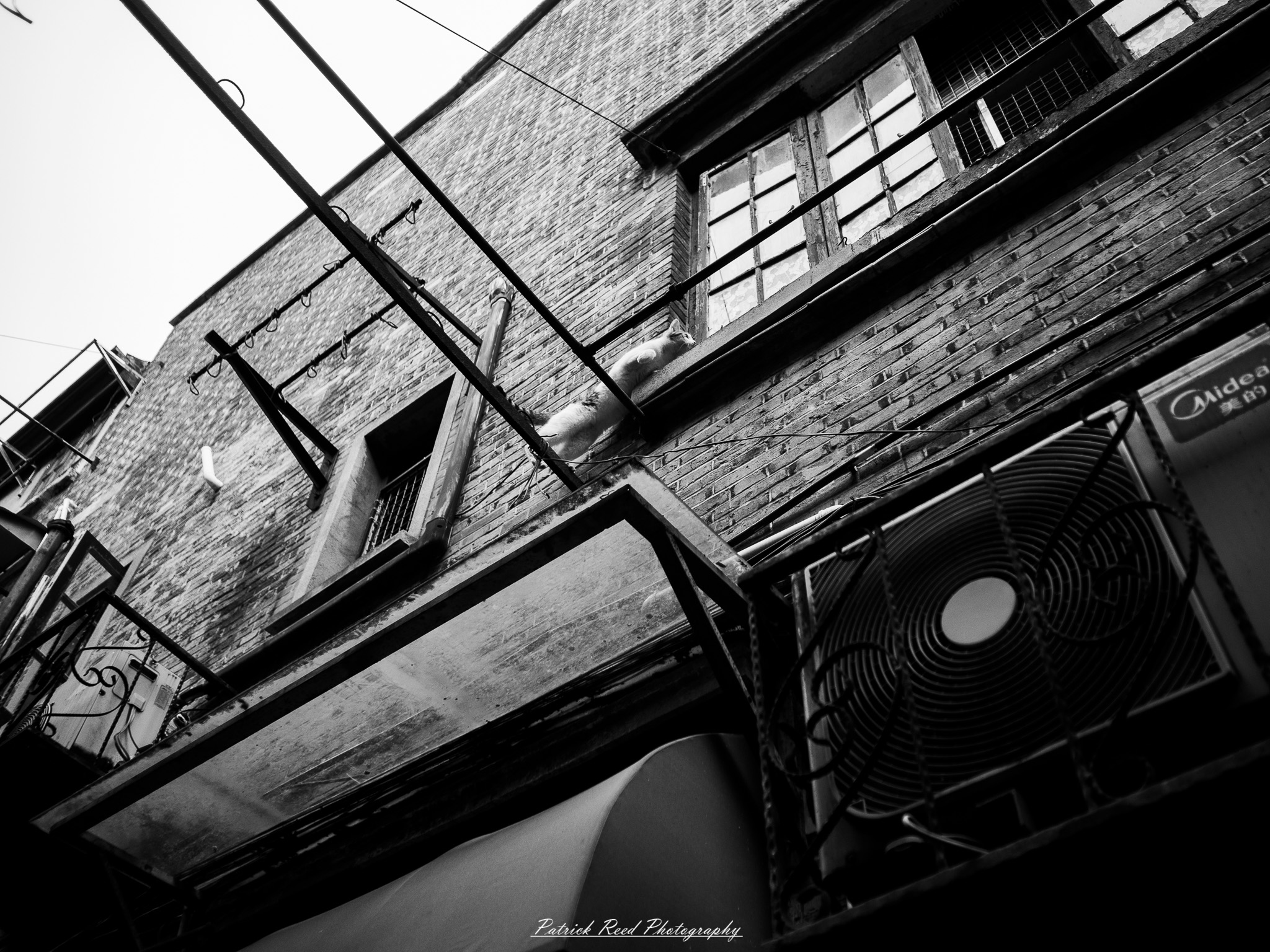 OLYMPUS DIGITAL CAMERA Street Photography Image