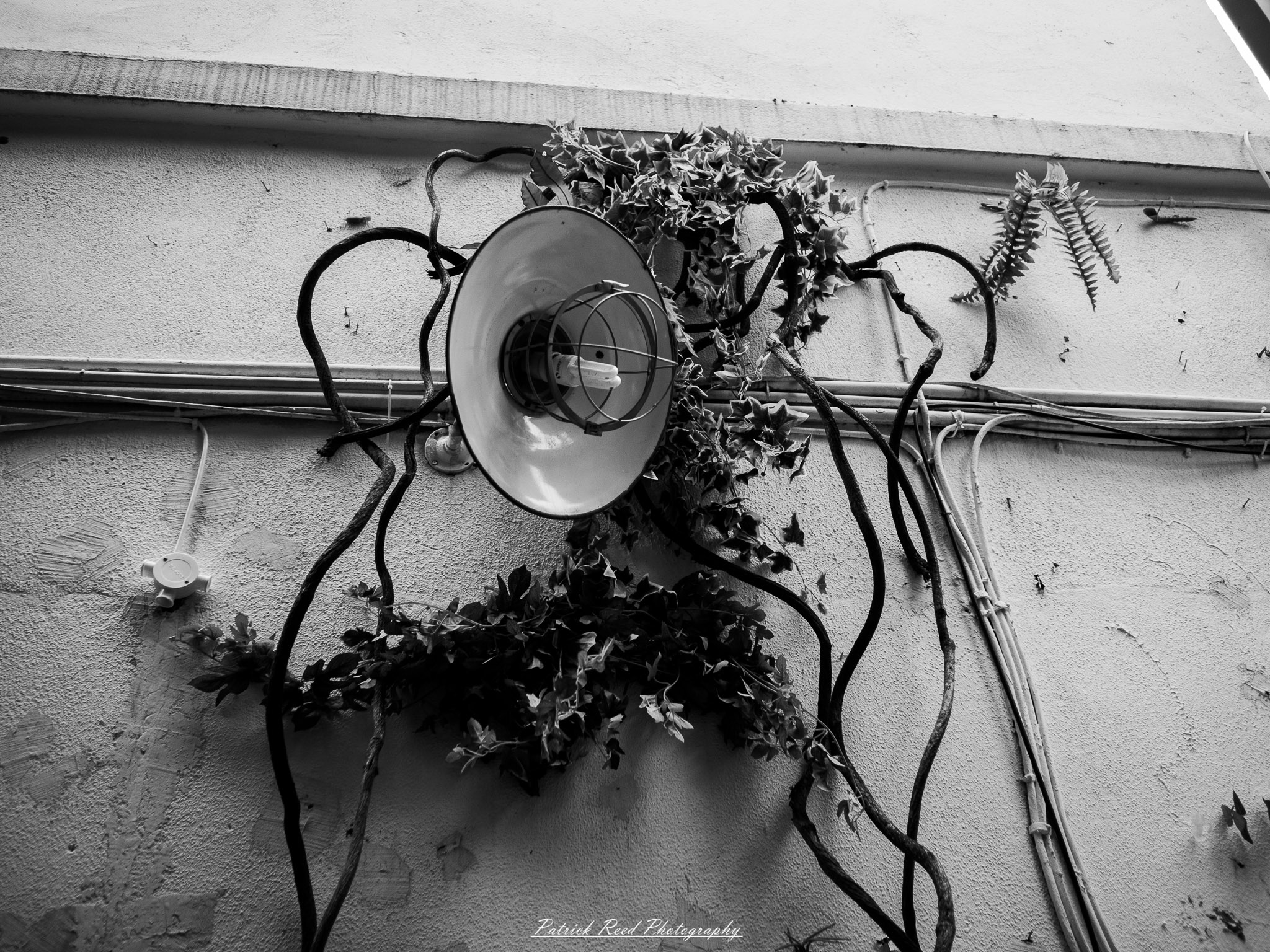 OLYMPUS DIGITAL CAMERA Street Photography Image