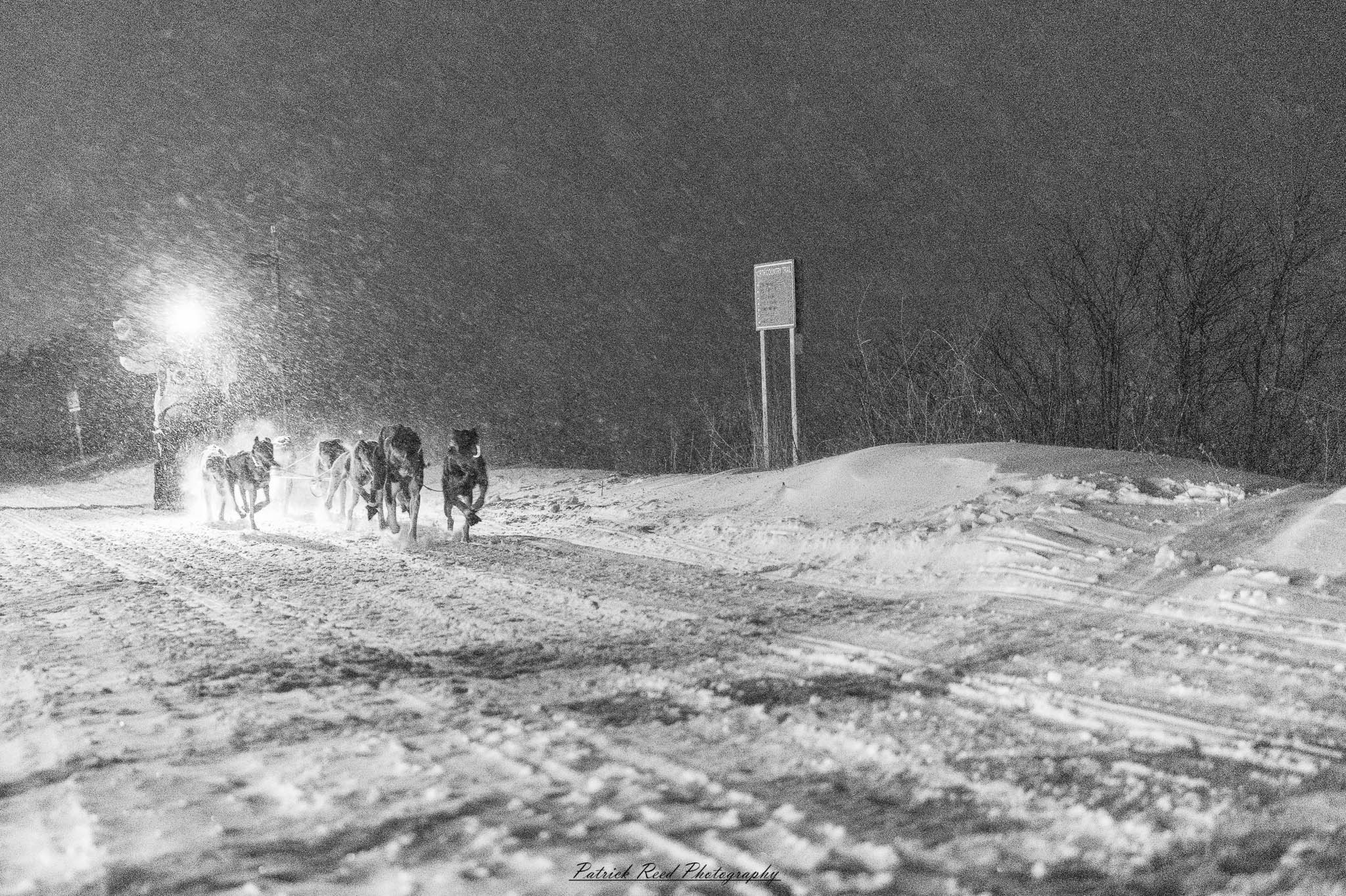 A team of sled dogs charges through a snow-covered landscape, their harnesses taut as they pull the sled forward. The musher, bundled in thick winter gear, stands at the back, steering through the icy terrain. Their breath mingles with the cold air, and snowflakes swirl around them. Towering, frost-covered trees line the trail, with distant mountains barely visible through the wintry haze. The muted winter light casts long shadows, adding to the sense of adventure and resilience in this frozen wilderness.