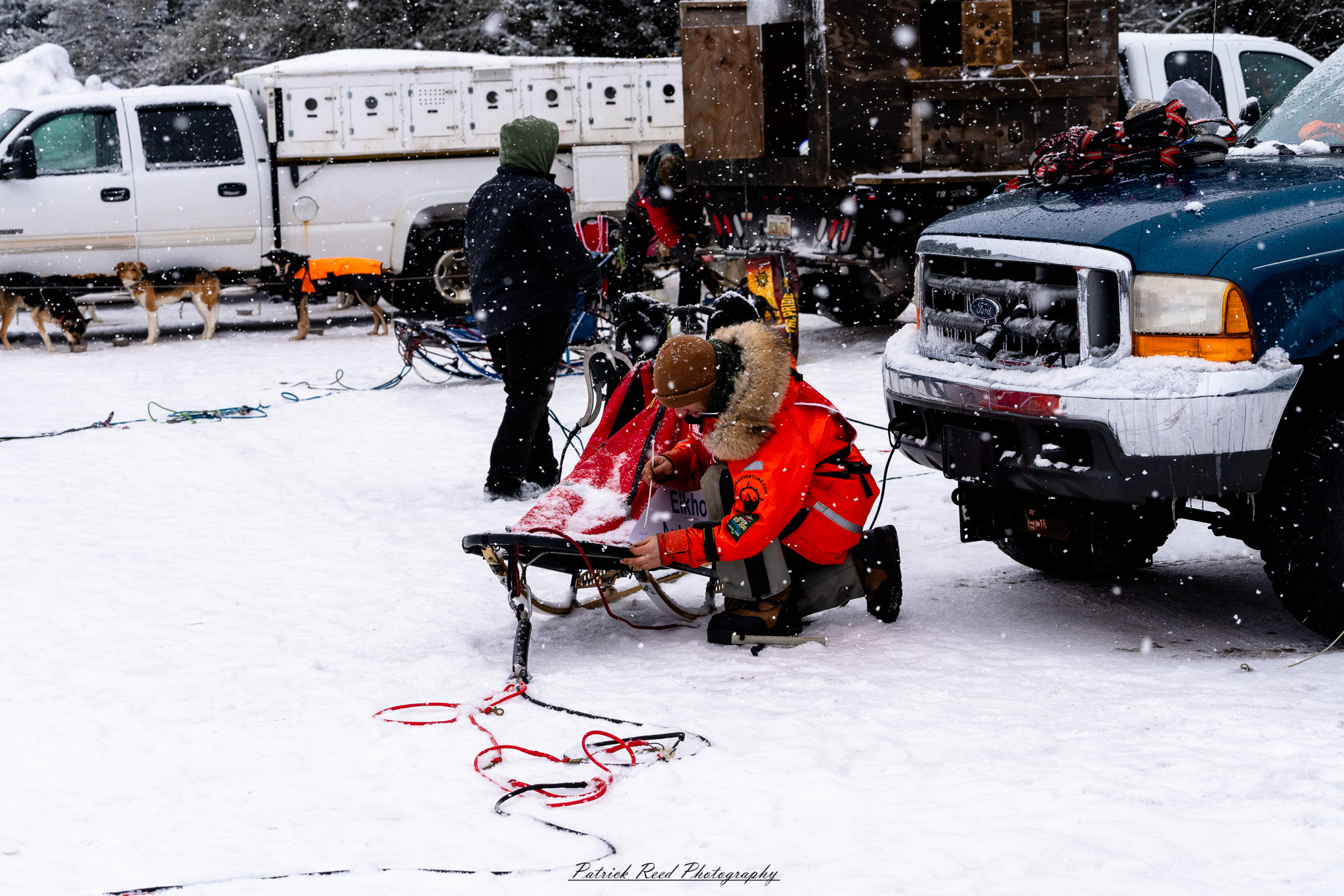 A team of sled dogs pulls a sled through a snowy landscape, their paws kicking up powder as they move in sync. The musher, bundled in heavy winter clothing, stands at the back, gripping the sled’s handle while guiding the team. Frost clings to the dogs' fur as their breath rises in the cold air. Snow-covered trees and distant mountains frame the scene, with a soft, diffused light casting a tranquil yet rugged atmosphere. The crisp winter setting highlights the endurance and teamwork of the dogs and their musher.