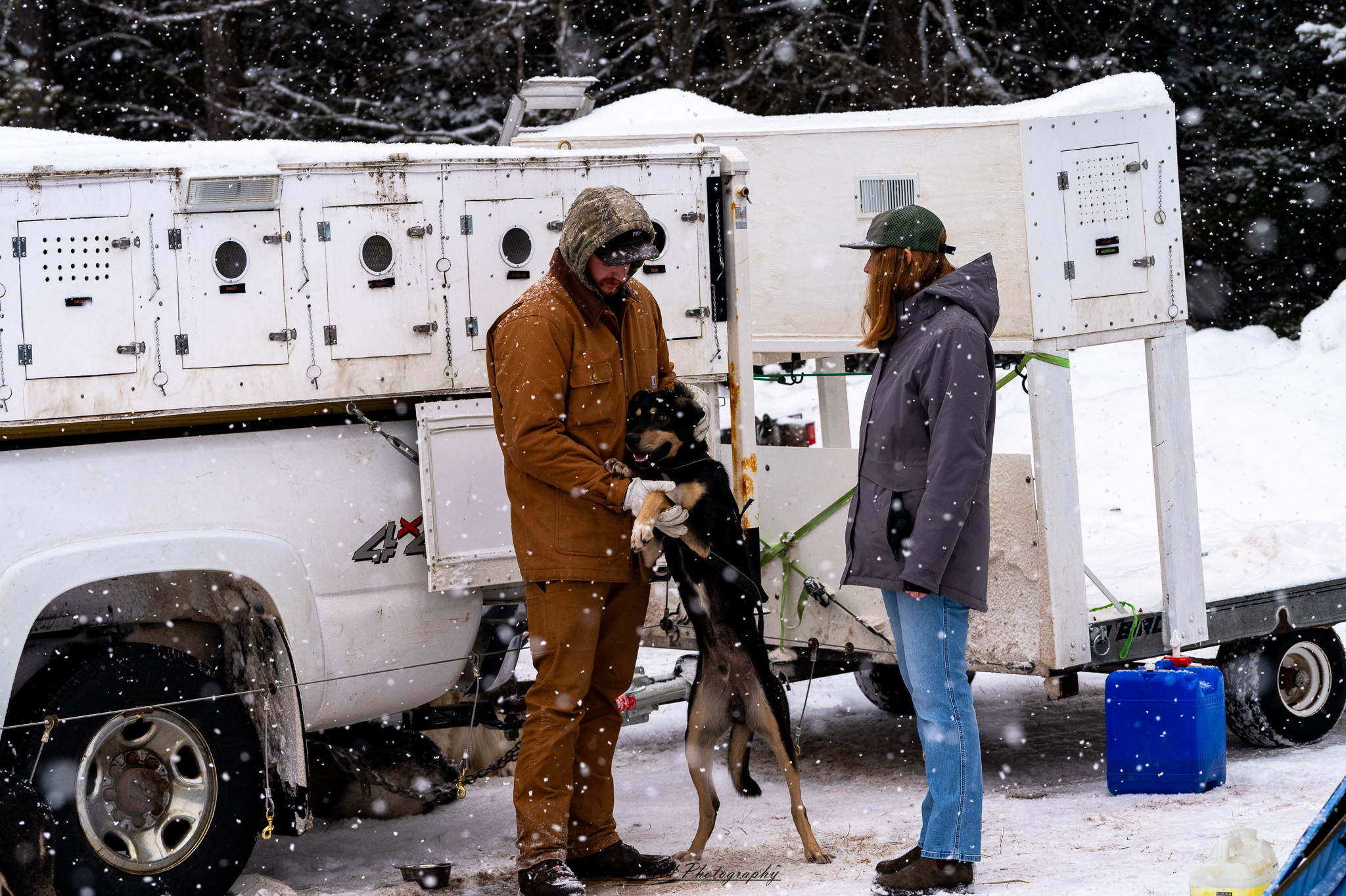 A team of sled dogs pulls a sled through a snowy landscape, their paws kicking up powder as they move in sync. The musher, bundled in heavy winter clothing, stands at the back, gripping the sled’s handle while guiding the team. Frost clings to the dogs' fur as their breath rises in the cold air. Snow-covered trees and distant mountains frame the scene, with a soft, diffused light casting a tranquil yet rugged atmosphere. The crisp winter setting highlights the endurance and teamwork of the dogs and their musher.