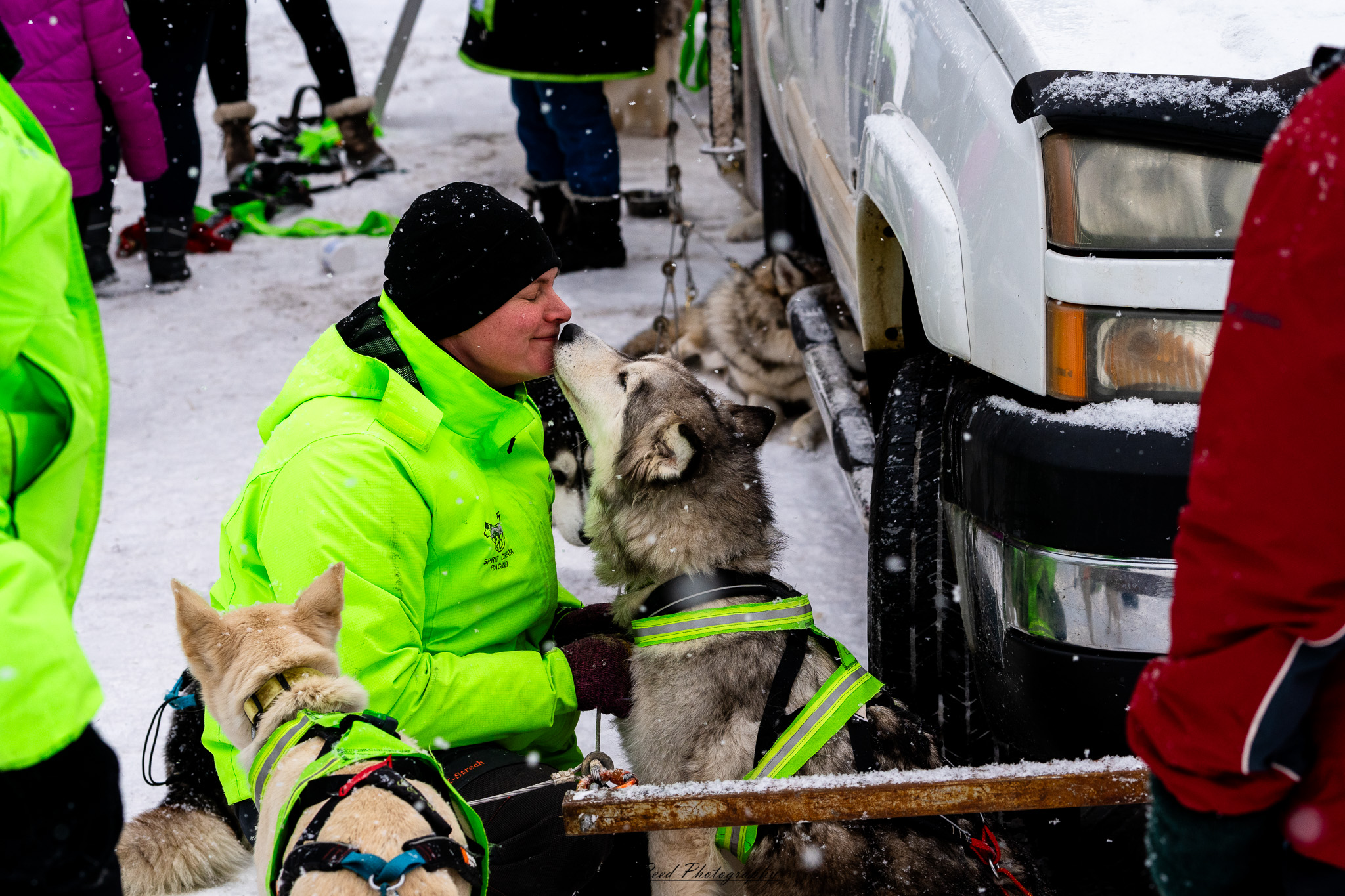 A team of sled dogs races through a snowy wilderness, pulling a sled across the frozen terrain. Their powerful legs kick up fresh snow as their breath forms mist in the crisp winter air. The musher, wrapped in heavy cold-weather gear, balances at the back of the sled, steering the team through the icy landscape. Snow-covered trees and distant mountains stretch across the horizon, creating a serene yet adventurous atmosphere. The muted winter light and swirling snowflakes add to the sense of movement and endurance in the harsh but beautiful environment.