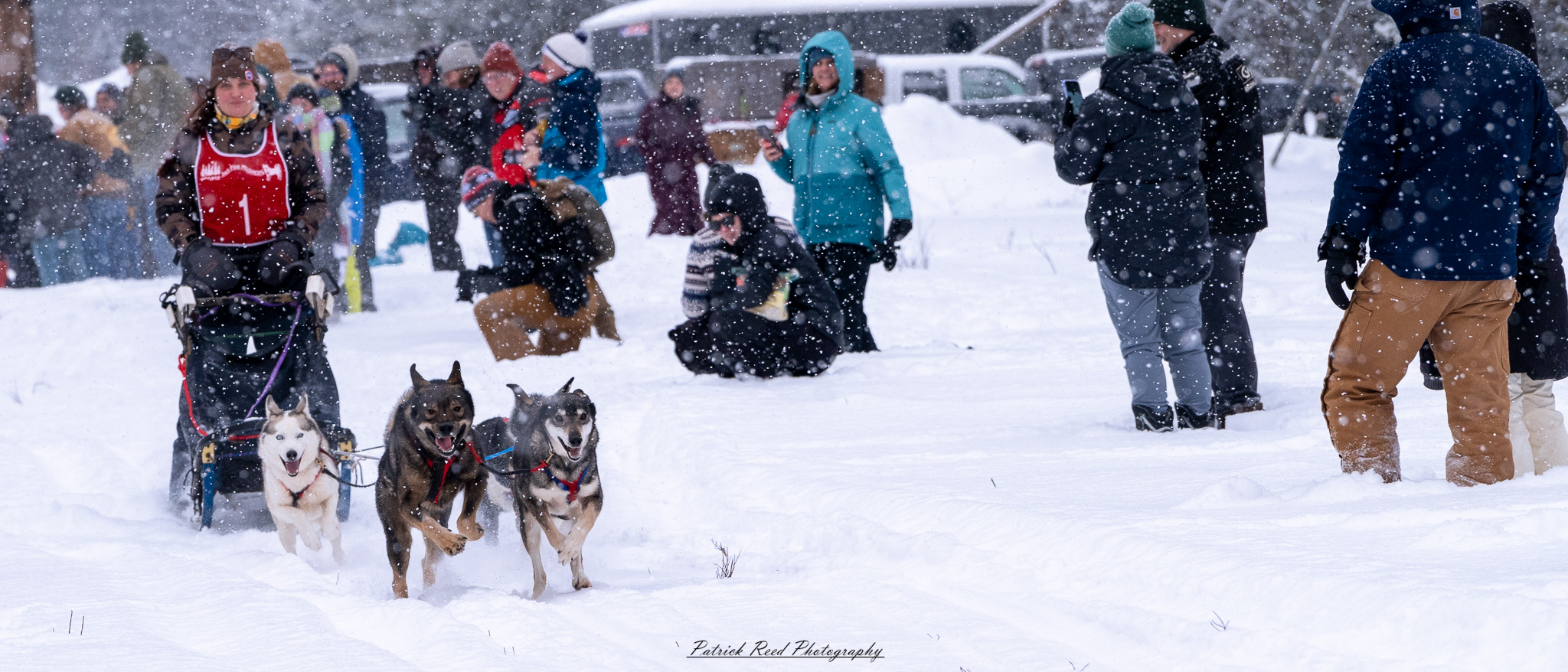 A team of sled dogs races through a snowy wilderness, pulling a sled across the frozen terrain. Their powerful legs kick up fresh snow as their breath forms mist in the crisp winter air. The musher, wrapped in heavy cold-weather gear, balances at the back of the sled, steering the team through the icy landscape. Snow-covered trees and distant mountains stretch across the horizon, creating a serene yet adventurous atmosphere. The muted winter light and swirling snowflakes add to the sense of movement and endurance in the harsh but beautiful environment.