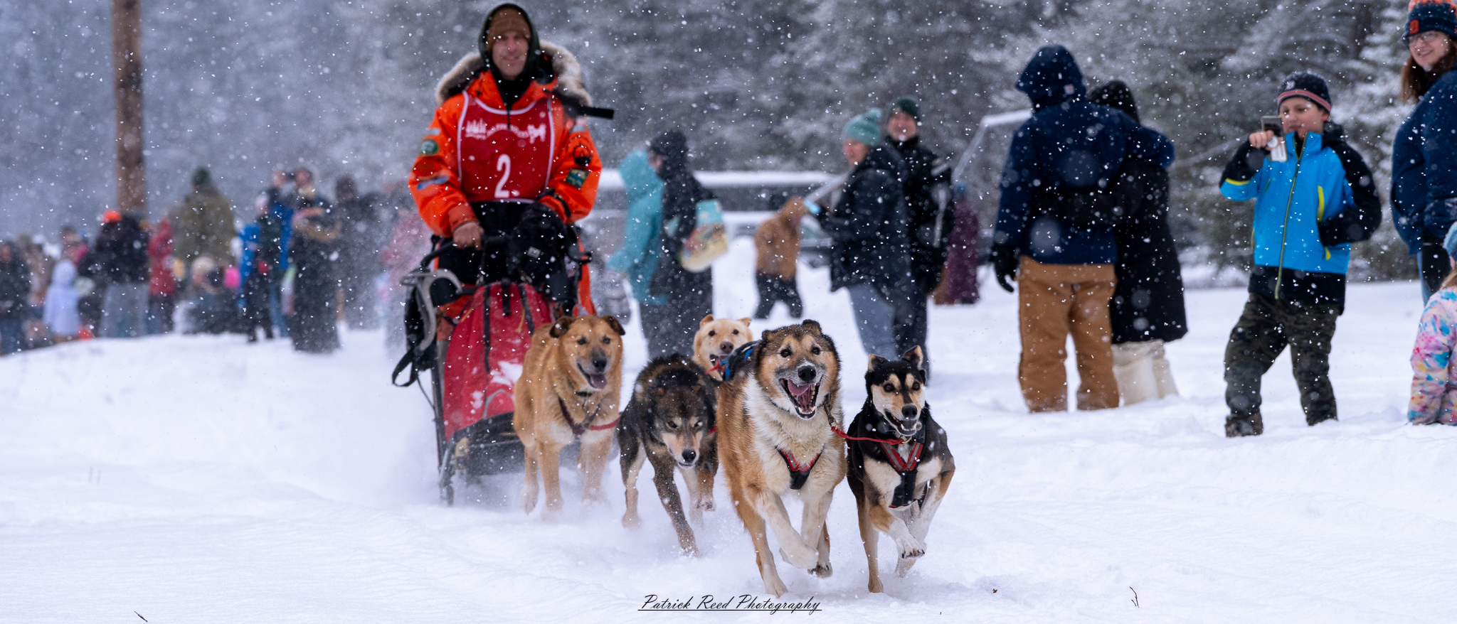 A team of sled dogs races through a snowy wilderness, pulling a sled across the frozen terrain. Their powerful legs kick up fresh snow as their breath forms mist in the crisp winter air. The musher, wrapped in heavy cold-weather gear, balances at the back of the sled, steering the team through the icy landscape. Snow-covered trees and distant mountains stretch across the horizon, creating a serene yet adventurous atmosphere. The muted winter light and swirling snowflakes add to the sense of movement and endurance in the harsh but beautiful environment.