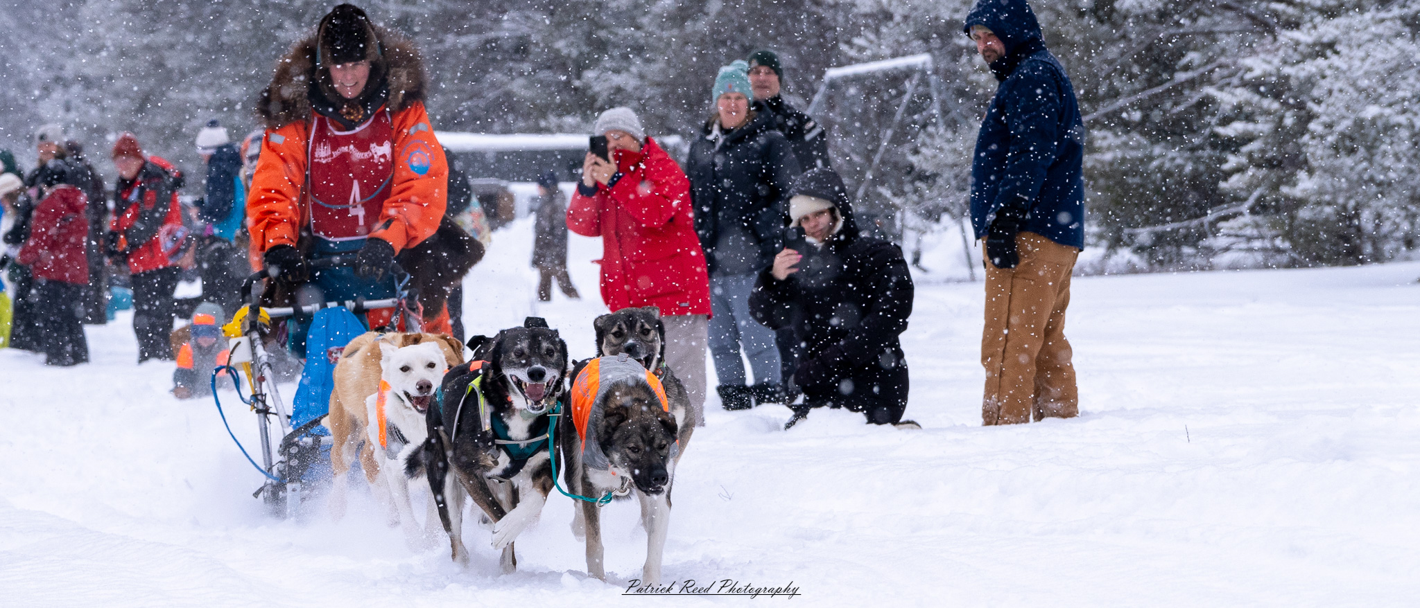 A team of sled dogs races through a snowy wilderness, pulling a sled across the frozen terrain. Their powerful legs kick up fresh snow as their breath forms mist in the crisp winter air. The musher, wrapped in heavy cold-weather gear, balances at the back of the sled, steering the team through the icy landscape. Snow-covered trees and distant mountains stretch across the horizon, creating a serene yet adventurous atmosphere. The muted winter light and swirling snowflakes add to the sense of movement and endurance in the harsh but beautiful environment.