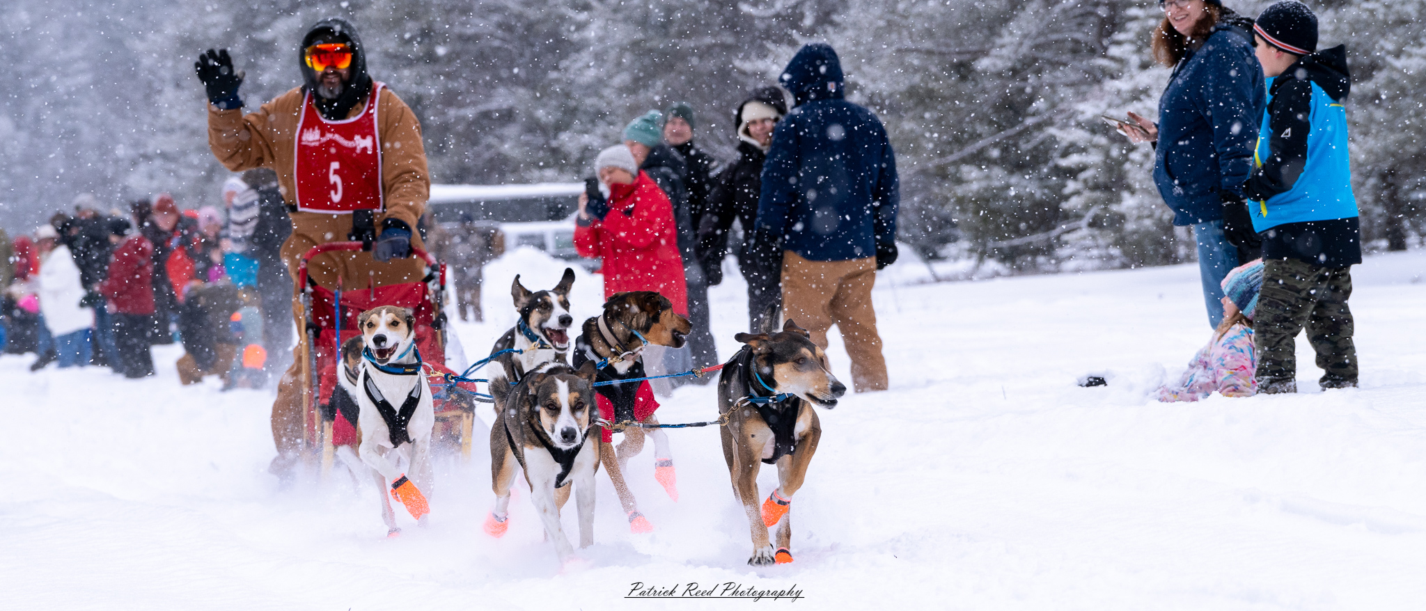 A team of sled dogs races through a snowy wilderness, pulling a sled across the frozen terrain. Their powerful legs kick up fresh snow as their breath forms mist in the crisp winter air. The musher, wrapped in heavy cold-weather gear, balances at the back of the sled, steering the team through the icy landscape. Snow-covered trees and distant mountains stretch across the horizon, creating a serene yet adventurous atmosphere. The muted winter light and swirling snowflakes add to the sense of movement and endurance in the harsh but beautiful environment.