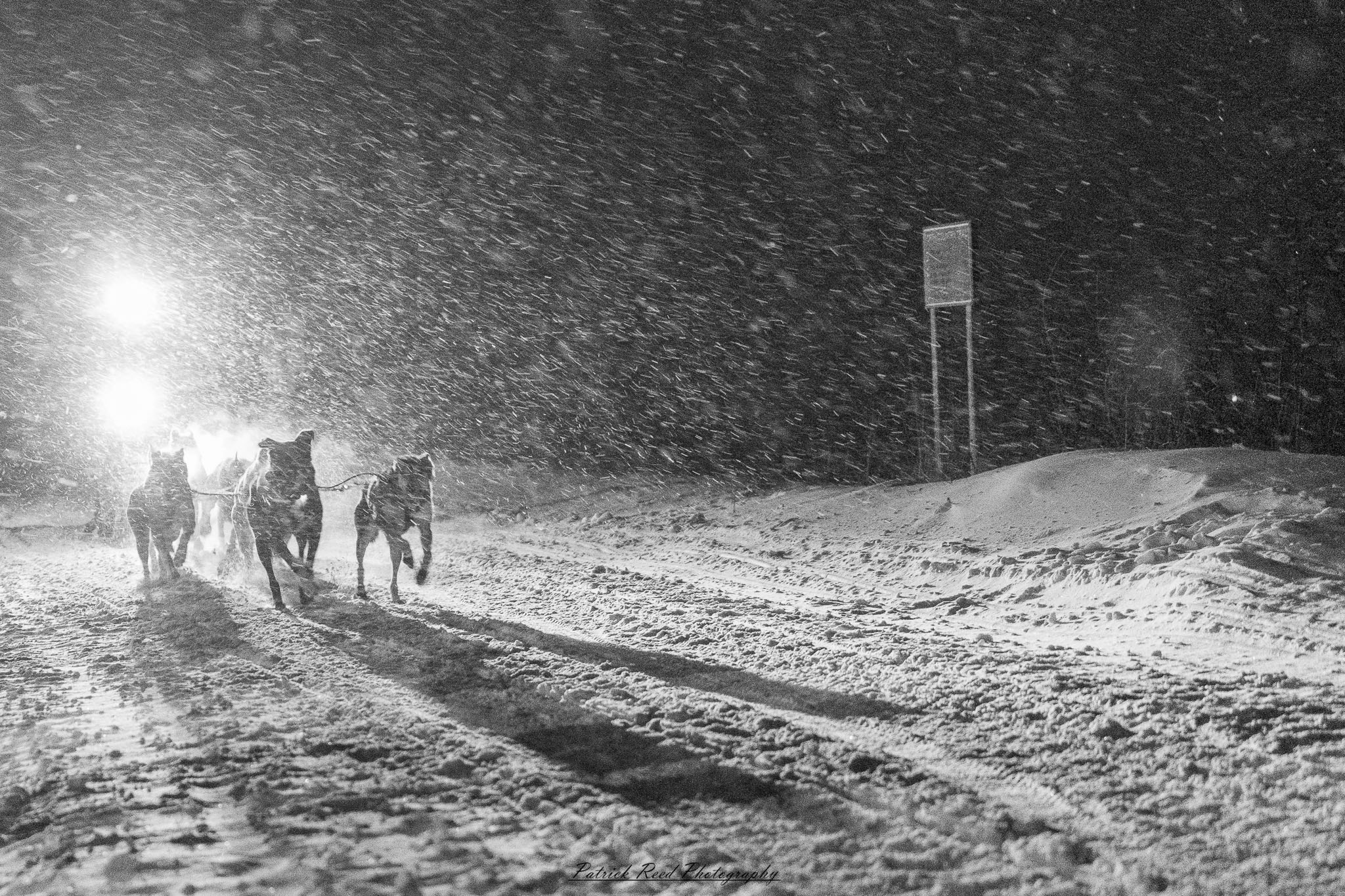A team of sled dogs charges through a snow-covered landscape, their harnesses taut as they pull the sled forward. The musher, bundled in thick winter gear, stands at the back, steering through the icy terrain. Their breath mingles with the cold air, and snowflakes swirl around them. Towering, frost-covered trees line the trail, with distant mountains barely visible through the wintry haze. The muted winter light casts long shadows, adding to the sense of adventure and resilience in this frozen wilderness.