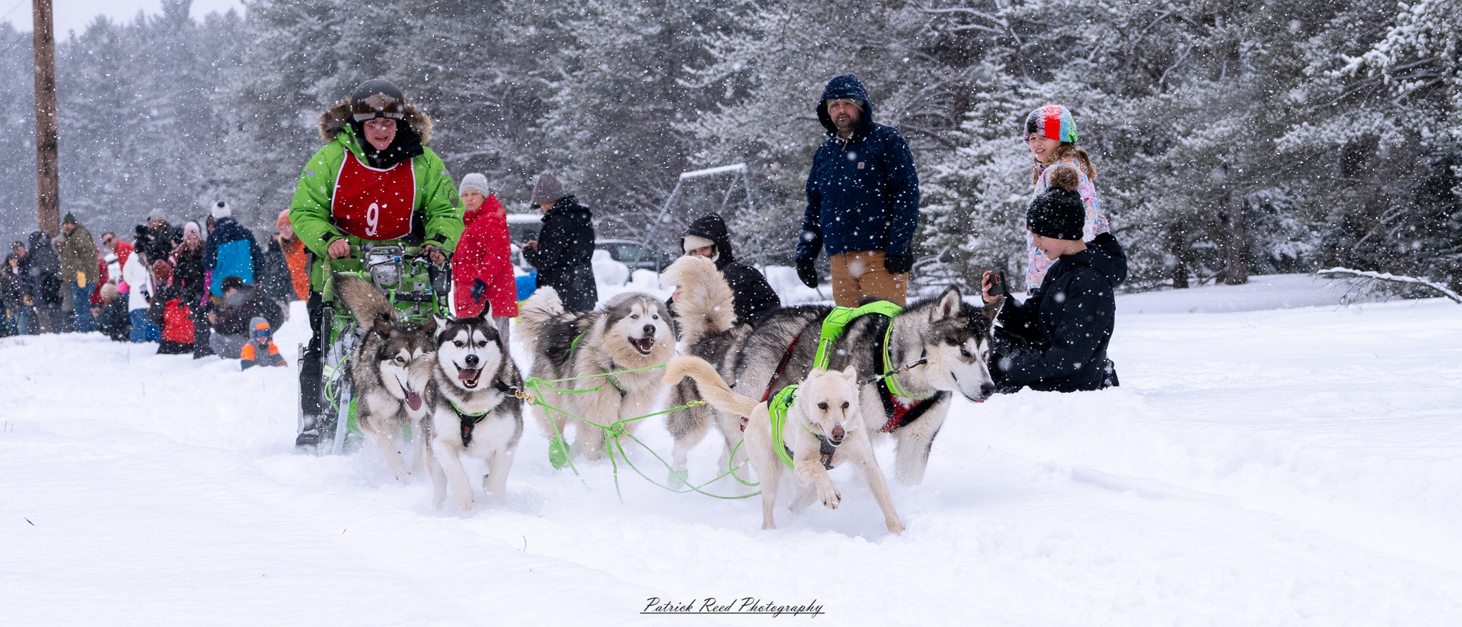 A team of sled dogs pulls a sled through a vast, snow-covered landscape under a crisp winter sky. The dogs, harnessed in a line, move in unison, their fur dusted with snow and their breath visible in the cold air. The musher, bundled in heavy winter gear, stands at the back, gripping the sled’s handle as they navigate the frozen terrain. Snow-laden trees and distant mountains frame the scene, while the soft light of the overcast sky adds to the serene yet rugged atmosphere of the Arctic wilderness.