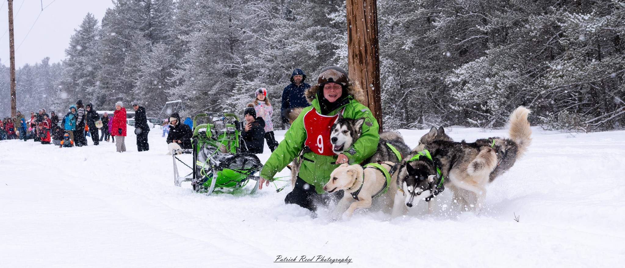 A team of sled dogs pulls a sled through a vast, snow-covered landscape under a crisp winter sky. The dogs, harnessed in a line, move in unison, their fur dusted with snow and their breath visible in the cold air. The musher, bundled in heavy winter gear, stands at the back, gripping the sled’s handle as they navigate the frozen terrain. Snow-laden trees and distant mountains frame the scene, while the soft light of the overcast sky adds to the serene yet rugged atmosphere of the Arctic wilderness.