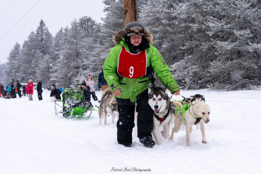 A team of sled dogs pulls a sled through a vast, snow-covered landscape under a crisp winter sky. The dogs, harnessed in a line, move in unison, their fur dusted with snow and their breath visible in the cold air. The musher, bundled in heavy winter gear, stands at the back, gripping the sled’s handle as they navigate the frozen terrain. Snow-laden trees and distant mountains frame the scene, while the soft light of the overcast sky adds to the serene yet rugged atmosphere of the Arctic wilderness.