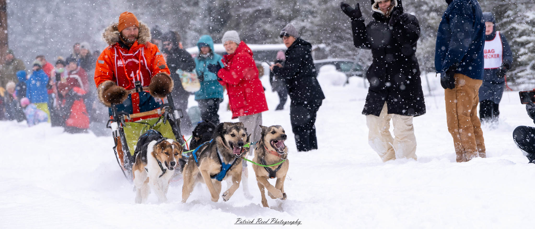 A team of sled dogs pulls a sled through a vast, snow-covered landscape under a crisp winter sky. The dogs, harnessed in a line, move in unison, their fur dusted with snow and their breath visible in the cold air. The musher, bundled in heavy winter gear, stands at the back, gripping the sled’s handle as they navigate the frozen terrain. Snow-laden trees and distant mountains frame the scene, while the soft light of the overcast sky adds to the serene yet rugged atmosphere of the Arctic wilderness.