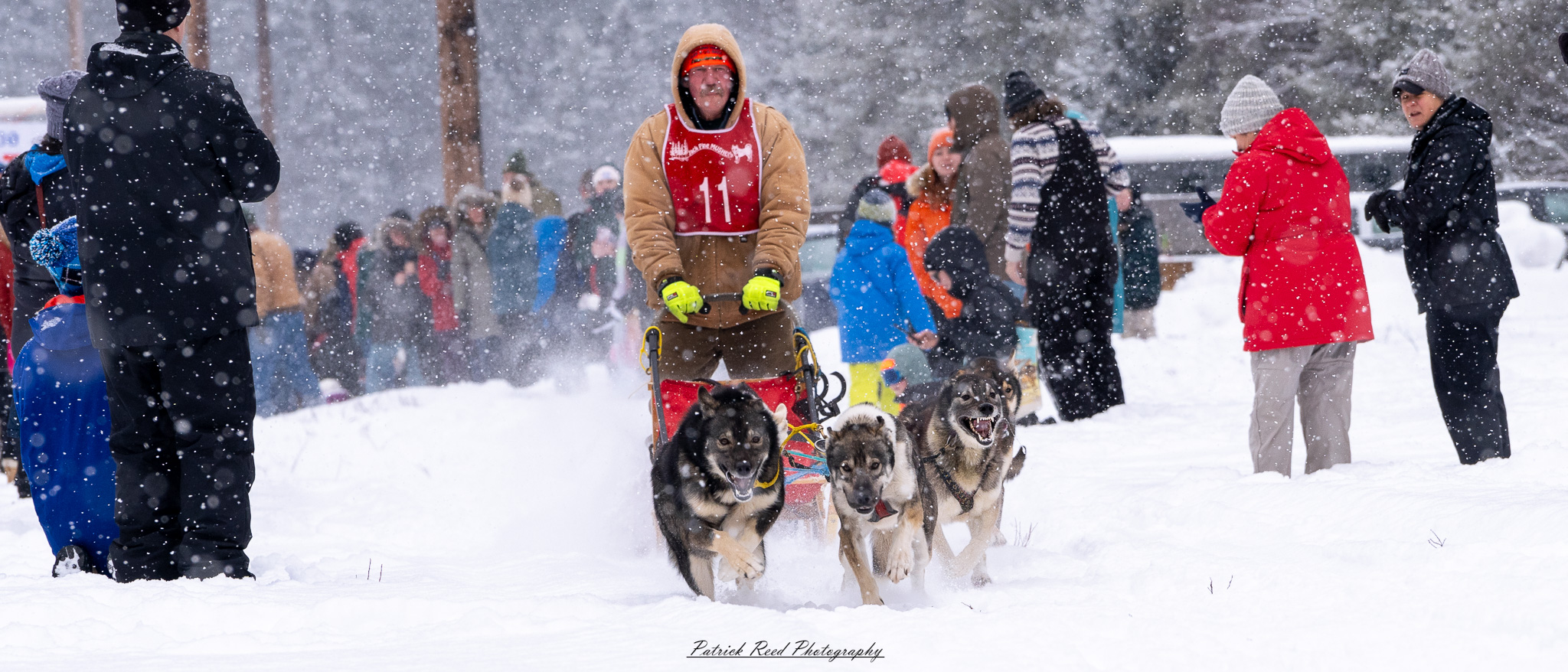 A team of sled dogs pulls a sled through a vast, snow-covered landscape under a crisp winter sky. The dogs, harnessed in a line, move in unison, their fur dusted with snow and their breath visible in the cold air. The musher, bundled in heavy winter gear, stands at the back, gripping the sled’s handle as they navigate the frozen terrain. Snow-laden trees and distant mountains frame the scene, while the soft light of the overcast sky adds to the serene yet rugged atmosphere of the Arctic wilderness.