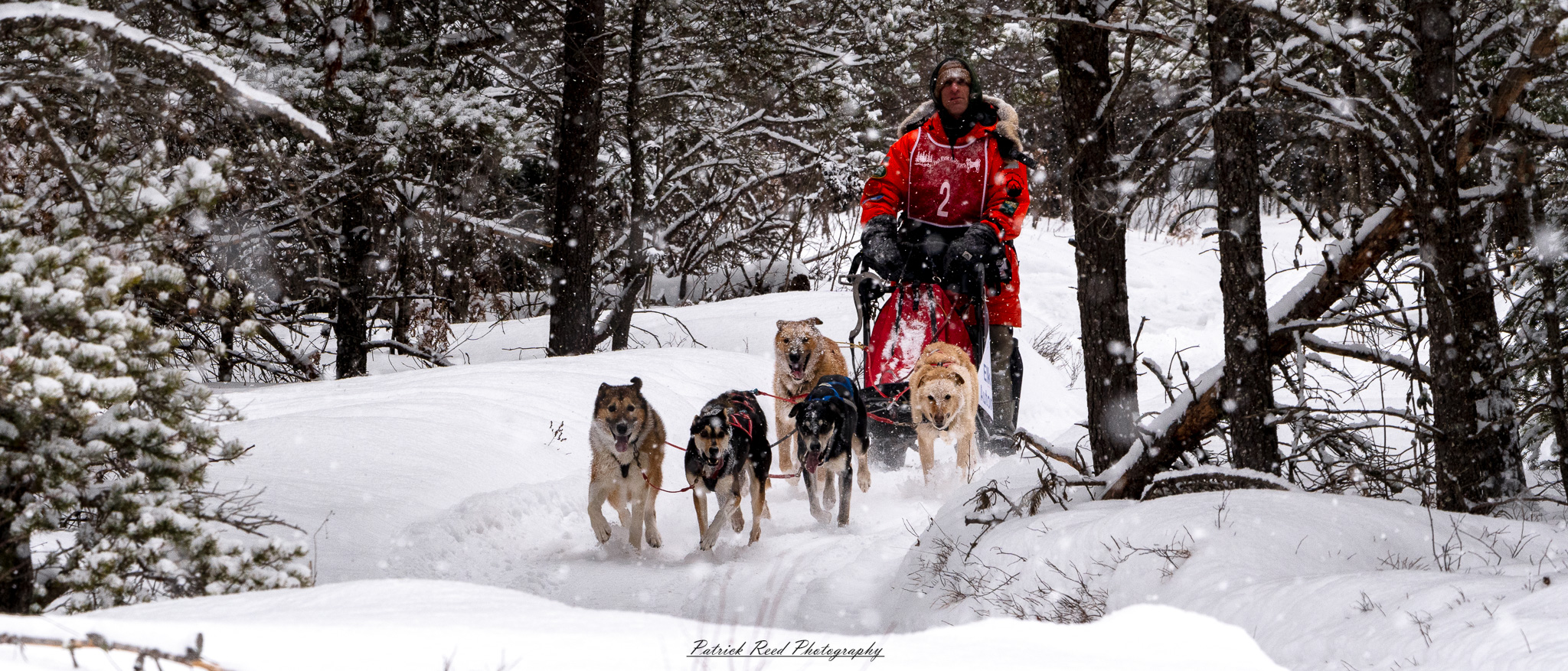A team of sled dogs pulls a sled through a vast, snow-covered landscape under a crisp winter sky. The dogs, harnessed in a line, move in unison, their fur dusted with snow and their breath visible in the cold air. The musher, bundled in heavy winter gear, stands at the back, gripping the sled’s handle as they navigate the frozen terrain. Snow-laden trees and distant mountains frame the scene, while the soft light of the overcast sky adds to the serene yet rugged atmosphere of the Arctic wilderness.