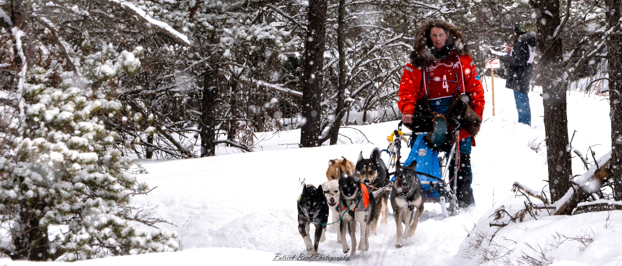 A winter scene featuring a team of sled dogs pulling a sled through a snow-covered landscape. The dogs, harnessed together, move energetically across the icy terrain, their breath visible in the cold air. The musher, bundled in warm clothing, stands at the back of the sled, guiding the team through the snow. Snow-covered trees and distant mountains create a serene yet rugged backdrop. The overcast sky and soft light enhance the cold, wintry atmosphere, capturing the spirit of adventure and endurance in the frozen wilderness.