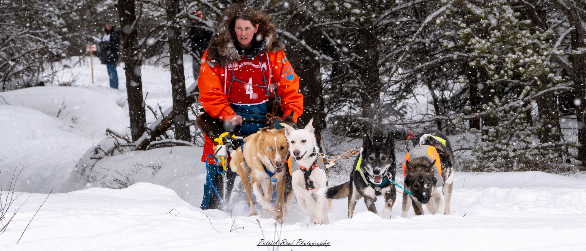 A winter scene featuring a team of sled dogs pulling a sled through a snow-covered landscape. The dogs, harnessed together, move energetically across the icy terrain, their breath visible in the cold air. The musher, bundled in warm clothing, stands at the back of the sled, guiding the team through the snow. Snow-covered trees and distant mountains create a serene yet rugged backdrop. The overcast sky and soft light enhance the cold, wintry atmosphere, capturing the spirit of adventure and endurance in the frozen wilderness.