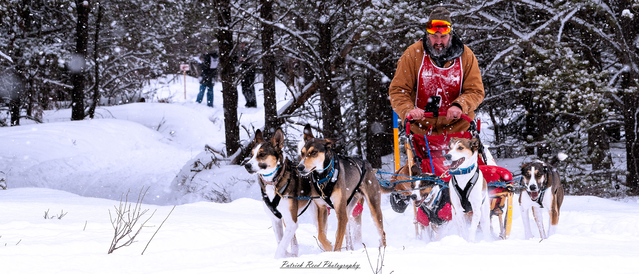 A winter scene featuring a team of sled dogs pulling a sled through a snow-covered landscape. The dogs, harnessed together, move energetically across the icy terrain, their breath visible in the cold air. The musher, bundled in warm clothing, stands at the back of the sled, guiding the team through the snow. Snow-covered trees and distant mountains create a serene yet rugged backdrop. The overcast sky and soft light enhance the cold, wintry atmosphere, capturing the spirit of adventure and endurance in the frozen wilderness.