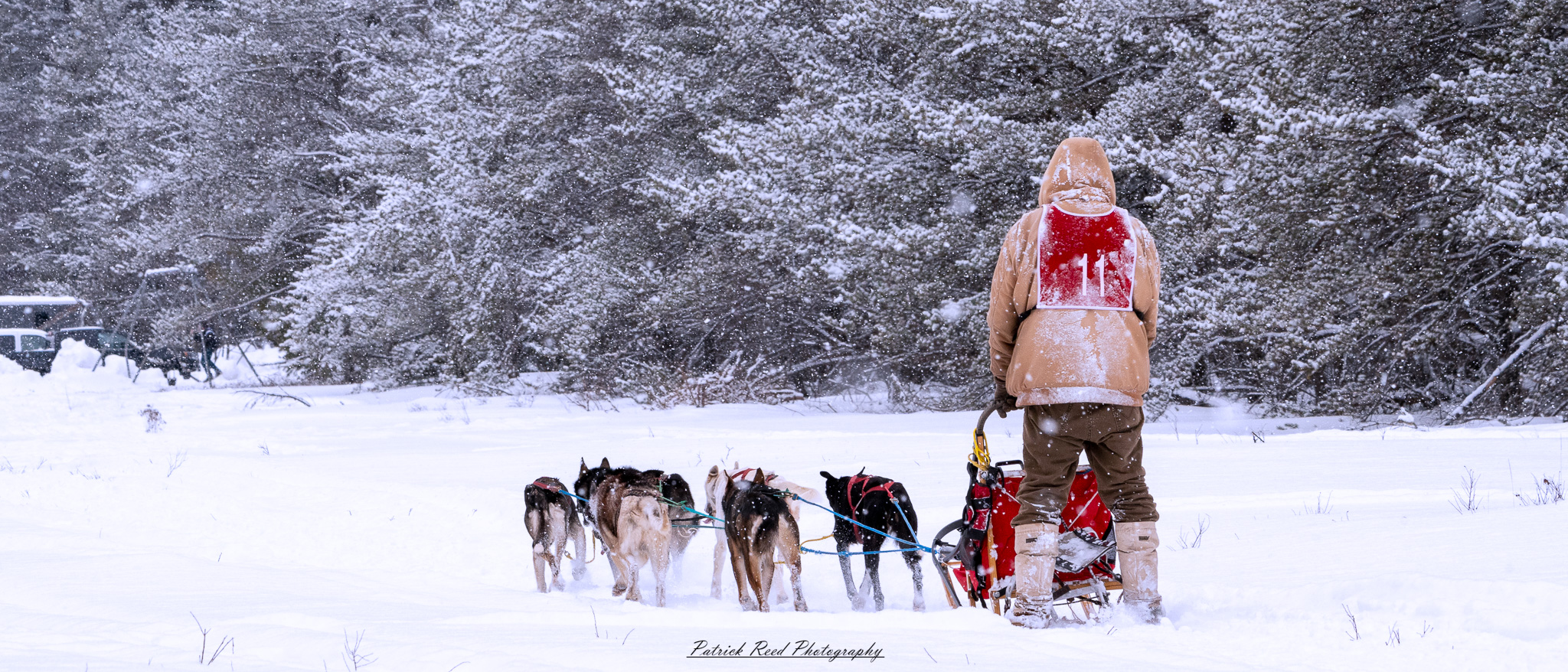 A winter scene featuring a team of sled dogs pulling a sled through a snow-covered landscape. The dogs, harnessed together, move energetically across the icy terrain, their breath visible in the cold air. The musher, bundled in warm clothing, stands at the back of the sled, guiding the team through the snow. Snow-covered trees and distant mountains create a serene yet rugged backdrop. The overcast sky and soft light enhance the cold, wintry atmosphere, capturing the spirit of adventure and endurance in the frozen wilderness.