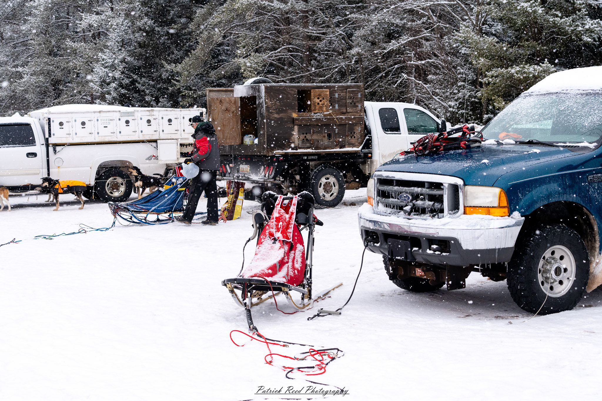 A team of sled dogs charges through a snow-covered landscape, their harnesses taut as they pull the sled forward. The musher, bundled in thick winter gear, stands at the back, steering through the icy terrain. Their breath mingles with the cold air, and snowflakes swirl around them. Towering, frost-covered trees line the trail, with distant mountains barely visible through the wintry haze. The muted winter light casts long shadows, adding to the sense of adventure and resilience in this frozen wilderness.