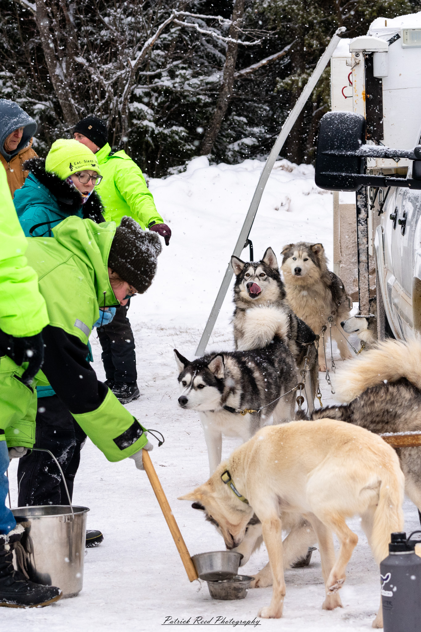 A team of sled dogs pulls a sled through a snowy landscape, their paws kicking up powder as they move in sync. The musher, bundled in heavy winter clothing, stands at the back, gripping the sled’s handle while guiding the team. Frost clings to the dogs' fur as their breath rises in the cold air. Snow-covered trees and distant mountains frame the scene, with a soft, diffused light casting a tranquil yet rugged atmosphere. The crisp winter setting highlights the endurance and teamwork of the dogs and their musher.