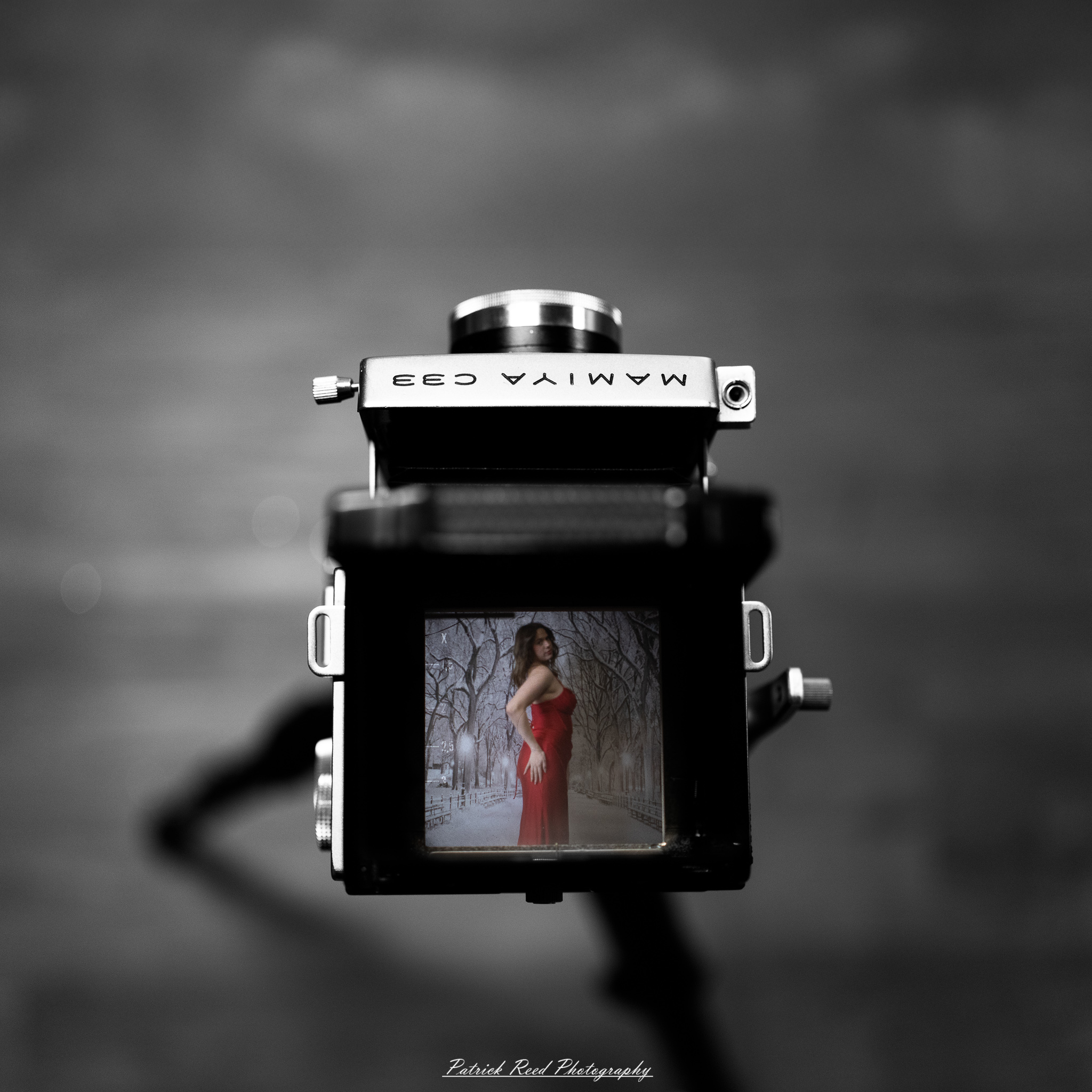 Olivia – Christmas-Themed Portrait on Mamiya C33, December 17th, 2025