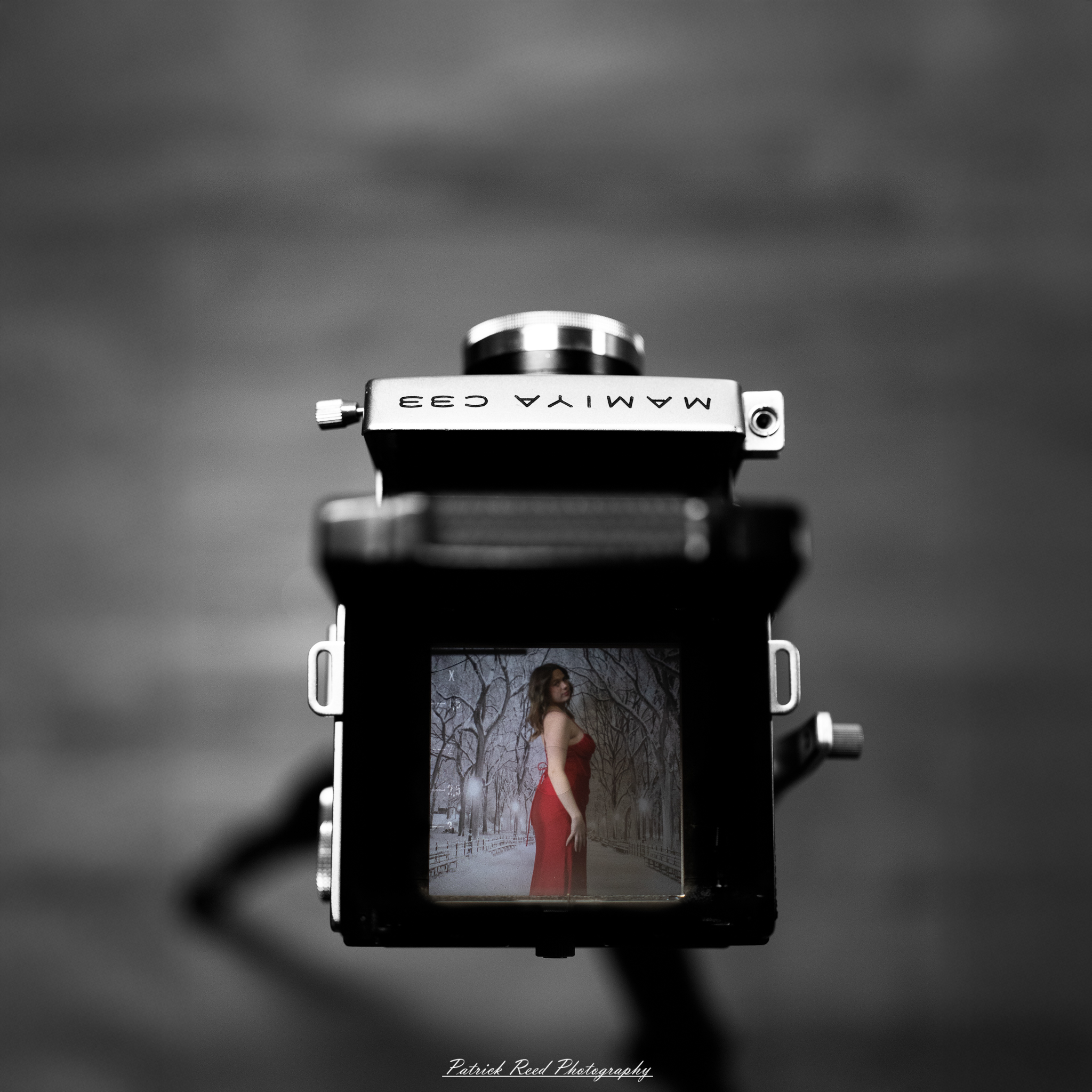 Olivia – Christmas-Themed Portrait on Mamiya C33, December 17th, 2025