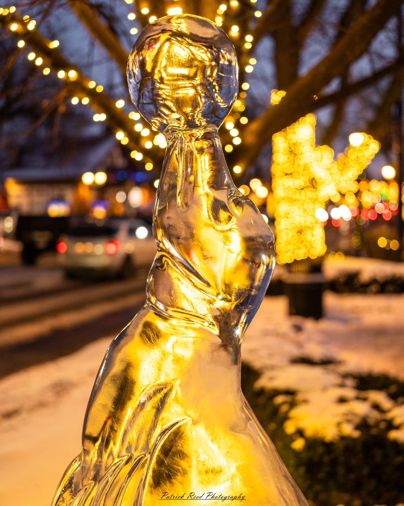 Winter festival photography from Snowfest in Frankenmuth, Michigan, captured on January 31, 2026, featuring ice sculptures, snow carvings, and cold-weather festivities.
