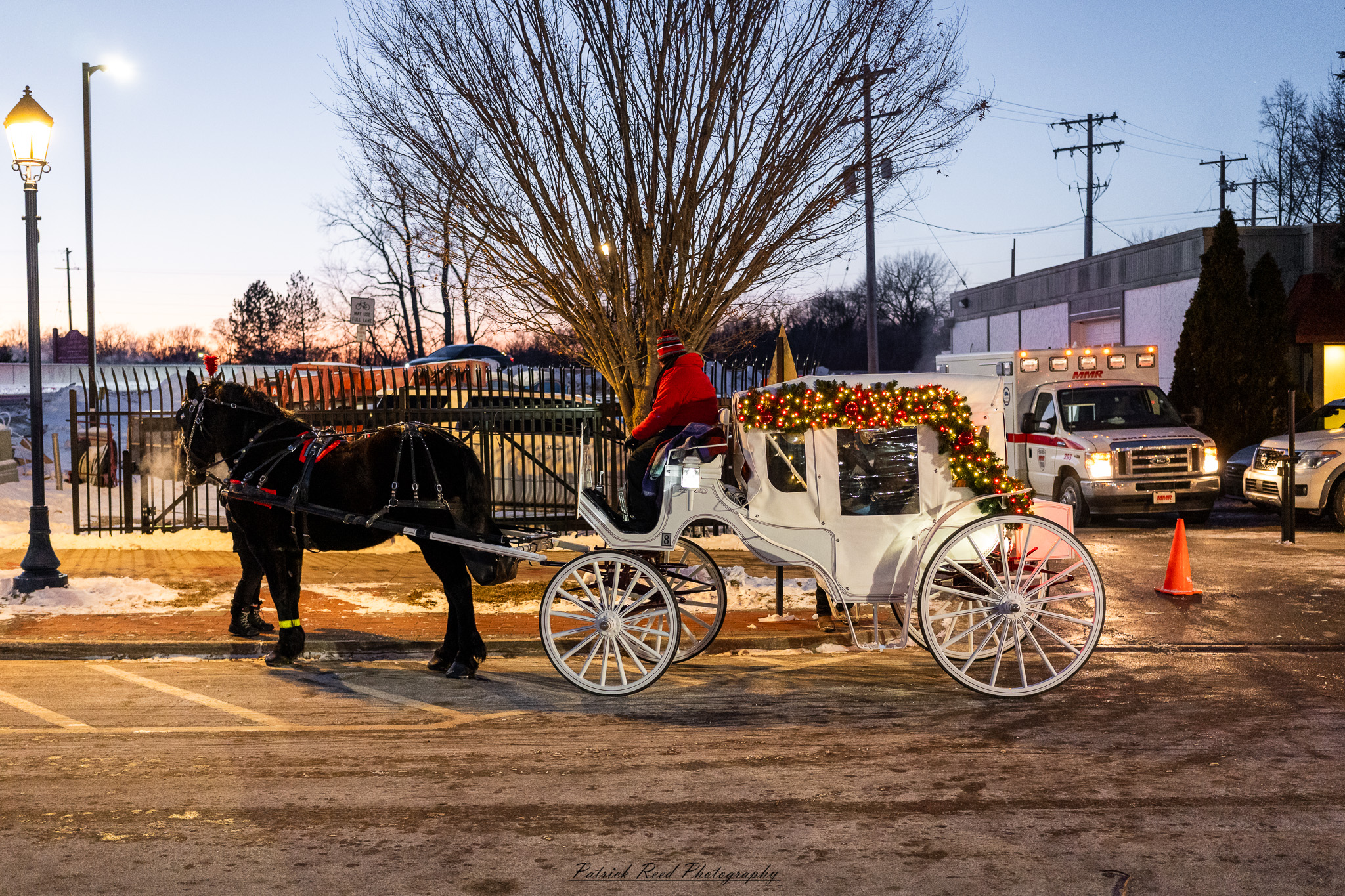 Winter festival photography from Snowfest in Frankenmuth, Michigan, captured on January 31, 2026, featuring ice sculptures, snow carvings, and cold-weather festivities.