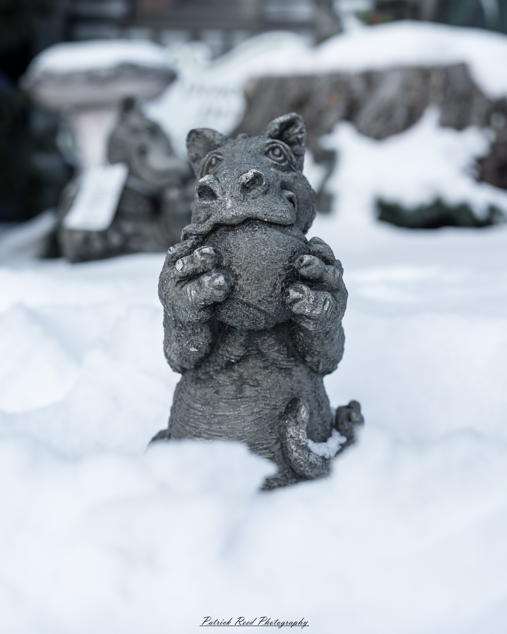 Winter festival photography from Snowfest in Frankenmuth, Michigan, captured on January 31, 2026, featuring ice sculptures, snow carvings, and cold-weather festivities.