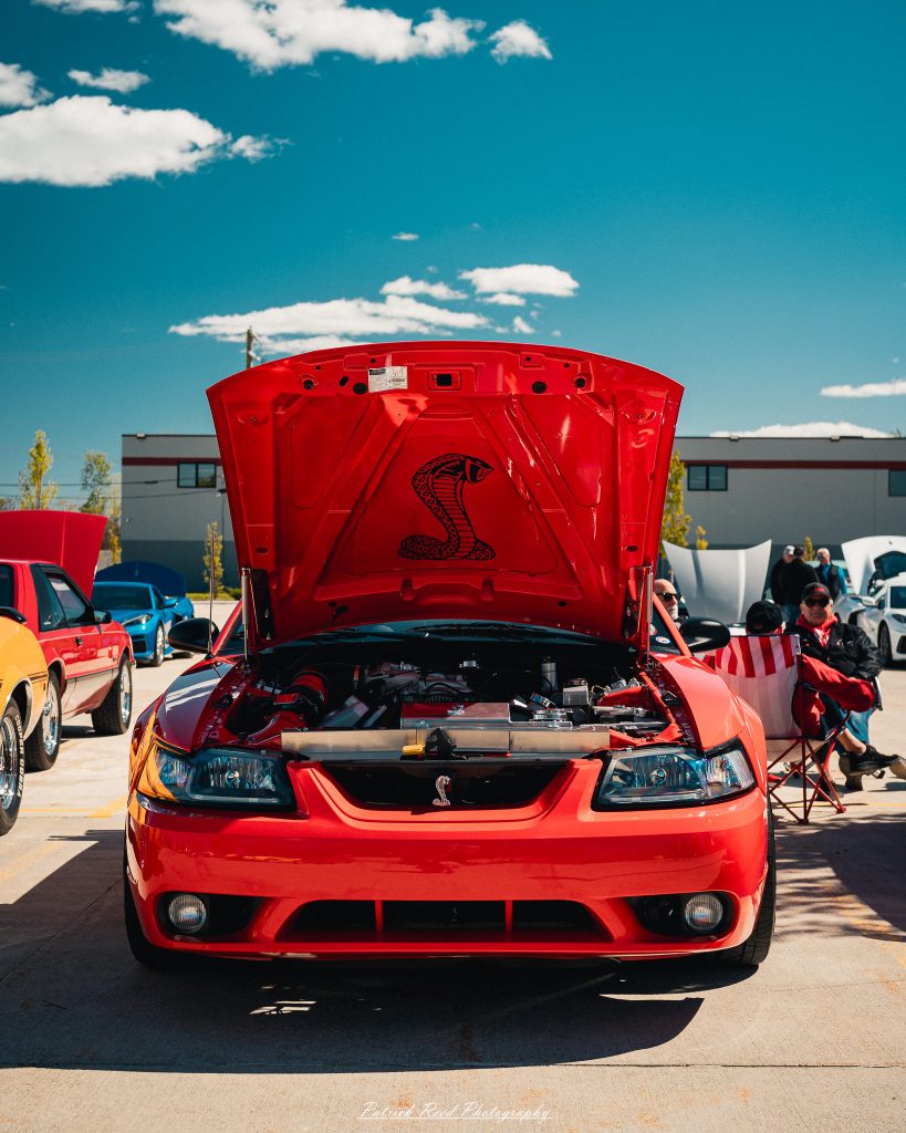 Classic car photography from a Michigan car show featuring vintage muscle cars, hot rods, classic trucks, and automotive detail shots captured in a cinematic documentary style.