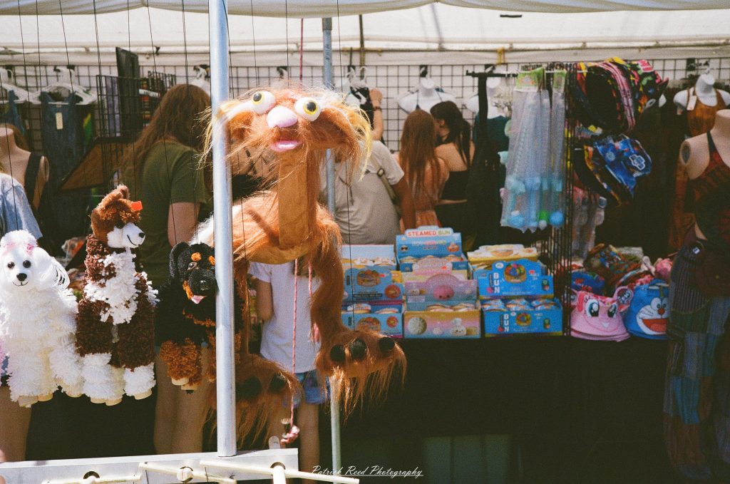 Street photography captured on a Rollei 35S at Peacefest in Waterford, Michigan, featuring festival attendees, live entertainment, community activities, and candid moments documented on 35mm film.