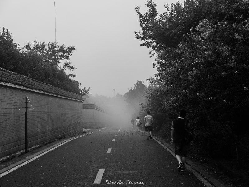 Black-and-white photograph of pedestrians walking into haze along a Shanghai road between a brick wall and dense trees.