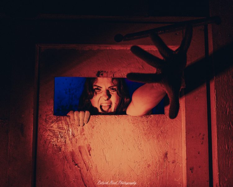 Spooky night photography at Scarefest Haunted Park in Michigan, featuring eerie lighting, haunted attractions, and Halloween-themed performers.