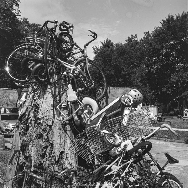 Stacked vintage bicycles and parts piled on a tree stump in an outdoor yard.