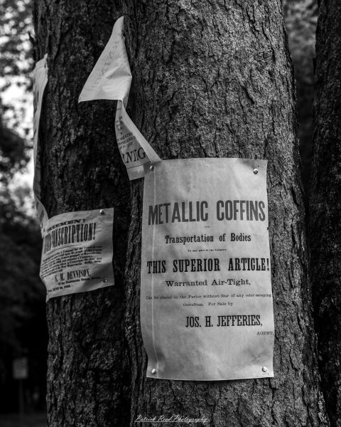 Metallic coffins notice sign nailed to a tree, with smaller printed papers fluttering.