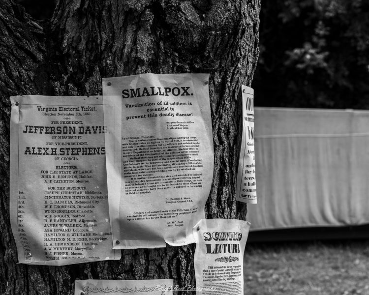 “Smallpox” and other printed notices pinned to a tree trunk in a historical reenactment display.