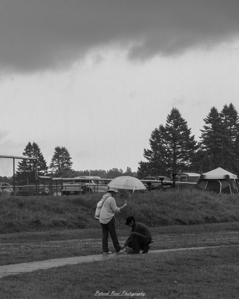 Two people under an umbrella during a rainy day, one kneeling to tie the other's shoe, with tents and trees in the background.